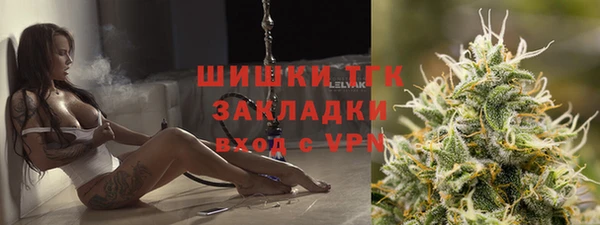 стаф Аркадак