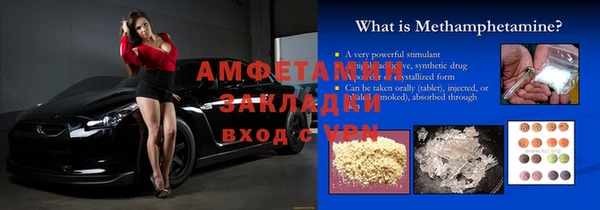 стаф Аркадак