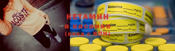 стаф Аркадак