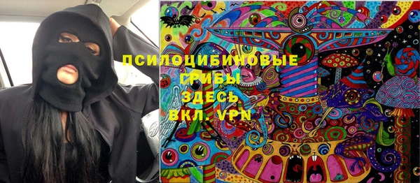 стаф Аркадак