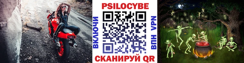 Псилоцибиновые грибы Psilocybine cubensis Мариинск